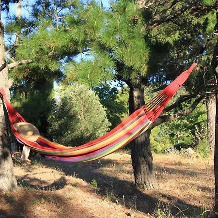 Gites-Terroirs-Occitanie Grenache Felluns Bagian luar foto