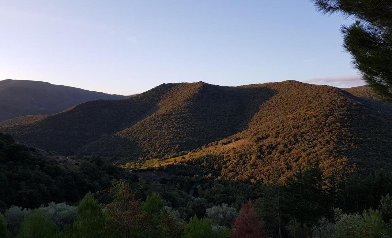 Gites-Terroirs-Occitanie Grenache Felluns Bagian luar foto