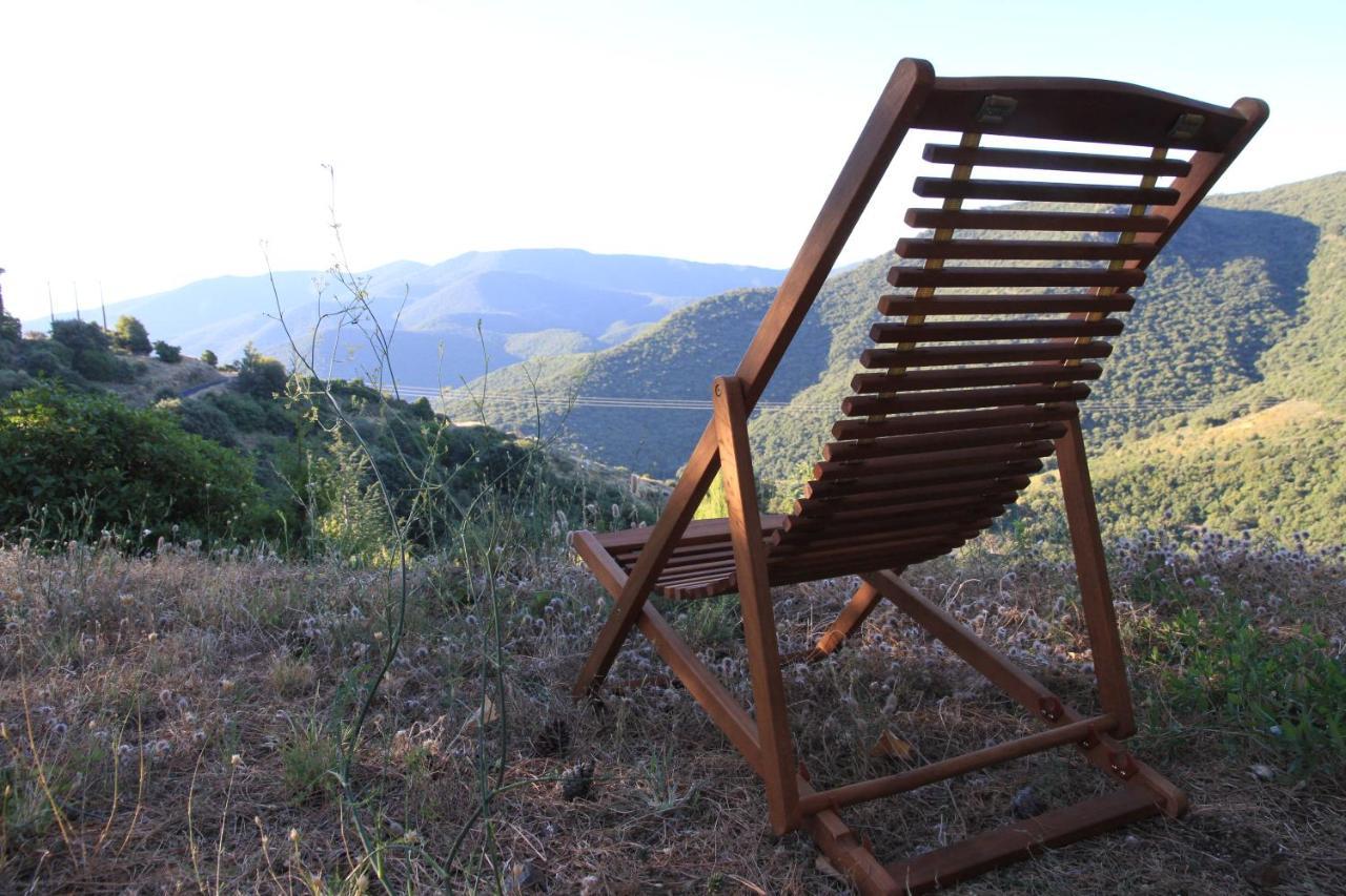 Gites-Terroirs-Occitanie Grenache Felluns Bagian luar foto