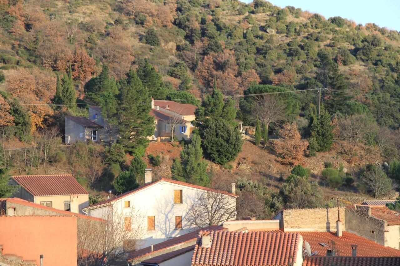 Gites-Terroirs-Occitanie Grenache Felluns Bagian luar foto